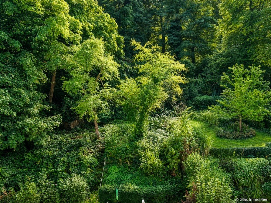 Blick in den Garten Mehrfamilienhaus Saarbr�cken