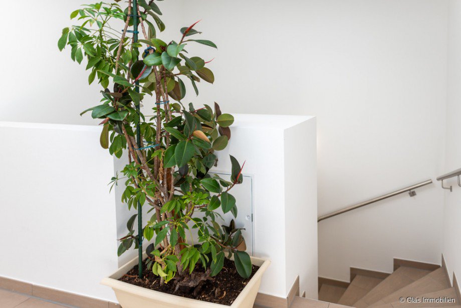 Treppe Etagenwohnung Mettlach