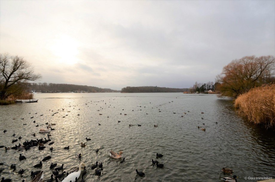 Leben wo andere Urlaub machen Einfamilienhaus Puttelange-aux-Lacs