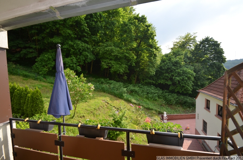 Blick ins Gr�ne Etagenwohnung Saarbr�cken