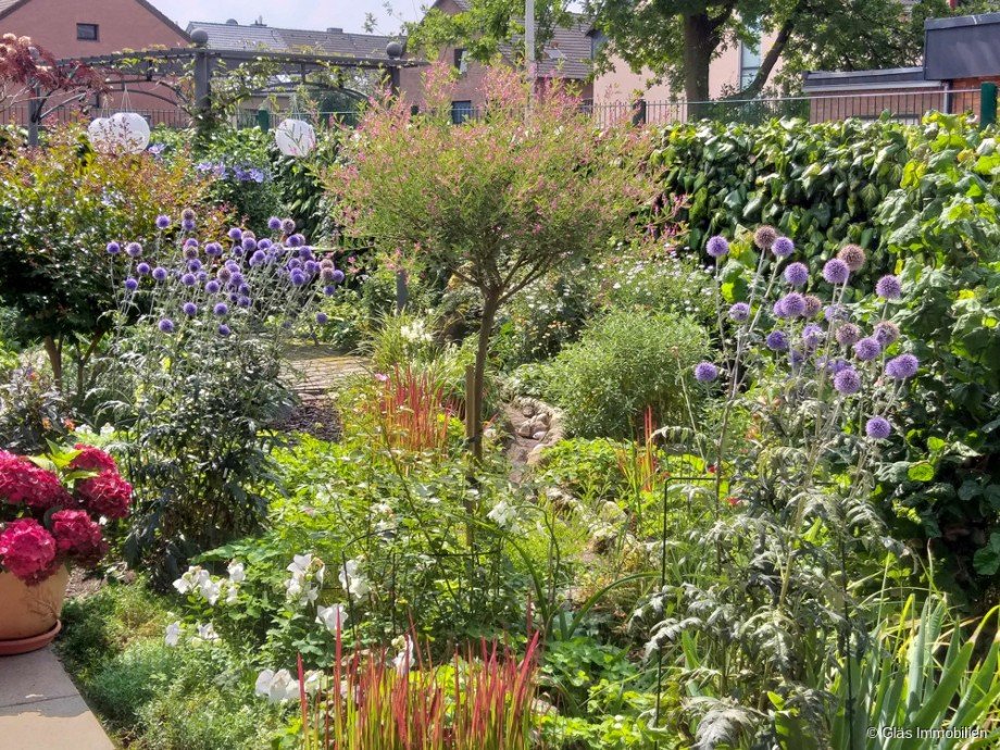 Sommergarten Einfamilienhaus Langenfeld (Rheinland)