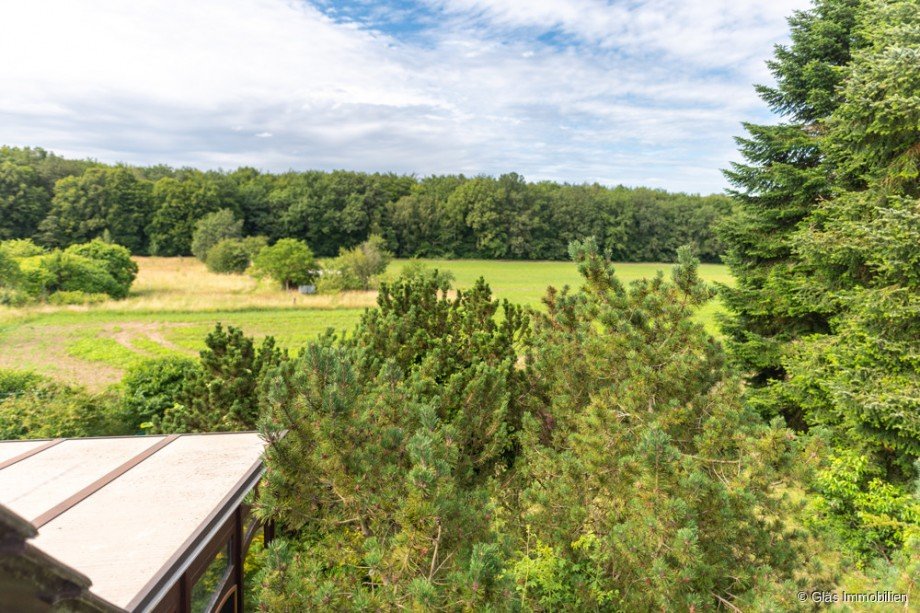 Blick vom Balkon im OG Einfamilienhaus V�lklingen