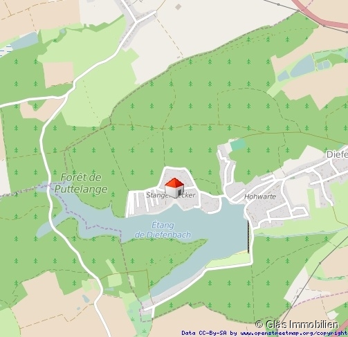 Sch�ne Waldrandlage am Diefenbacher Weiher Einfamilienhaus Puttelange-aux-Lacs