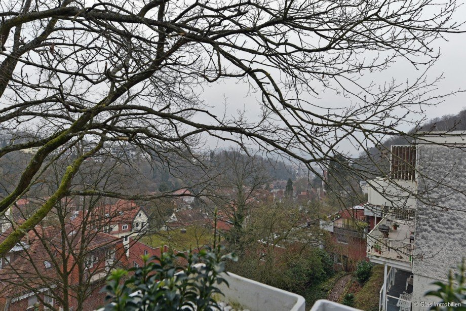 Fantastische Fernsicht Erdgeschosswohnung Saarbr�cken / Sankt Arnual
