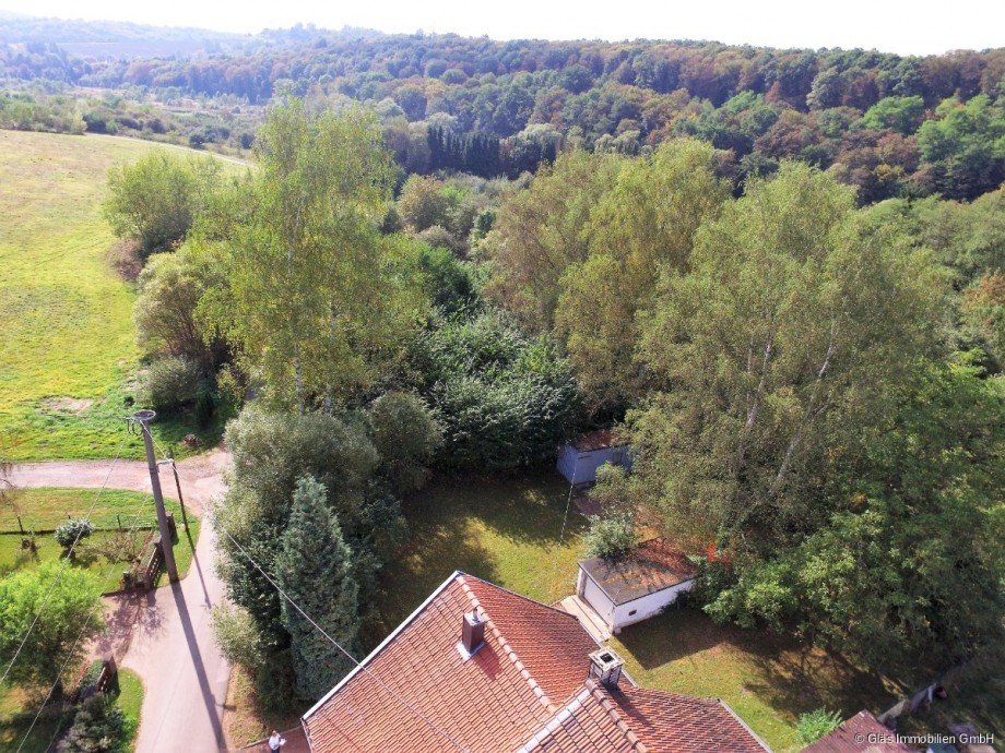Paradies f�r Tier- und Naturfreunde Einfamilienhaus V�lklingen